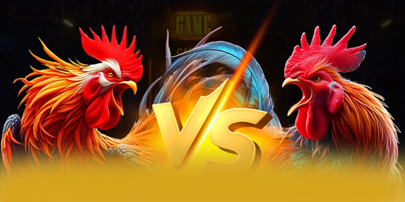 Bảo mật tài khoản tại BET168 Bảo mật tài khoản tại BET168