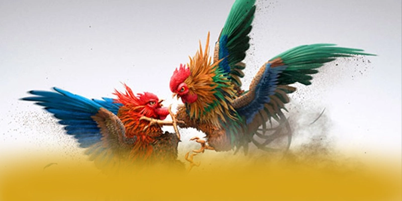 [THUONG_HIEU] - Cổng game bài hiện đại 2026