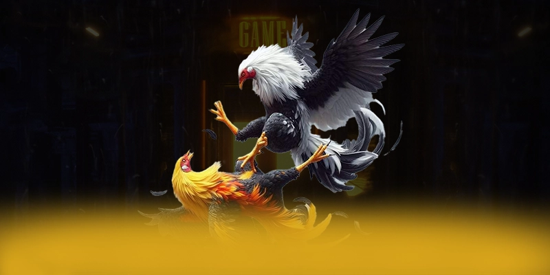 BET168 - Trang game cung cấp hàng trăm tựa game đẳng cấp tại Việt Nam BET168 - Trang game cung cấp hàng trăm tựa game đẳng cấp tại Việt Nam